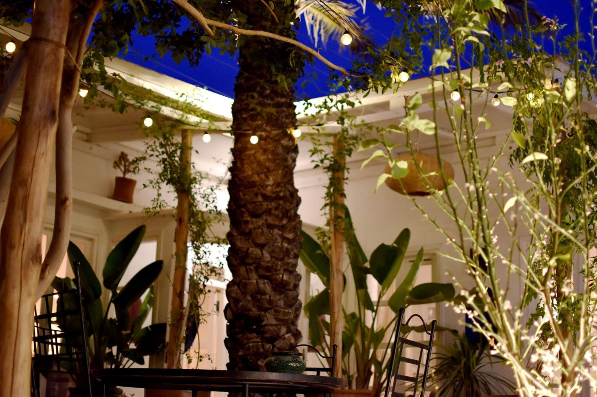 Dar Mayssoun Ghazoua Exterior foto